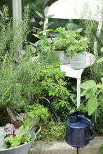 画像をギャラリービューアに読み込む, 【3個セット】ブリキプランター Sサイズ