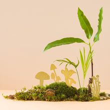 画像をギャラリービューアに読み込む, AS プランツピック