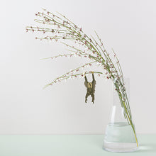 画像をギャラリービューアに読み込む, AS プラントアニマル