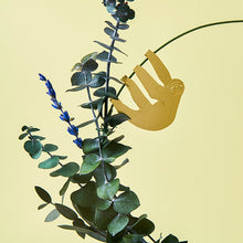 画像をギャラリービューアに読み込む, AS プラントアニマル