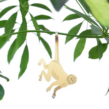 画像をギャラリービューアに読み込む, AS プラントアニマル