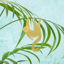 画像をギャラリービューアに読み込む, AS プラントアニマル