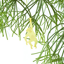 画像をギャラリービューアに読み込む, AS プラントアニマル