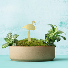 画像をギャラリービューアに読み込む, AS プラントアニマル