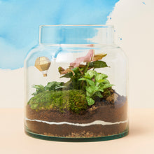 画像をギャラリービューアに読み込む, AS ミニモデル