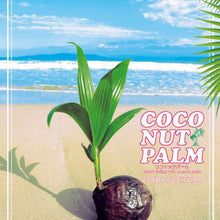 画像をギャラリービューアに読み込む, 【販売期間:7月31日まで】ココヤシ 6号 陶器鉢