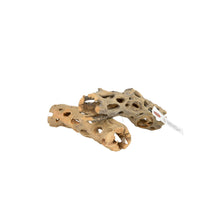 画像をギャラリービューアに読み込む, サボテンの骨