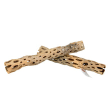 画像をギャラリービューアに読み込む, サボテンの骨