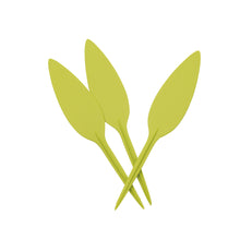 画像をギャラリービューアに読み込む, Plastia プラントラベル