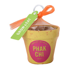 画像をギャラリービューアに読み込む, G&E 栽培セットフレッシュ