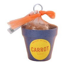 画像をギャラリービューアに読み込む, G&E 栽培セットフレッシュ