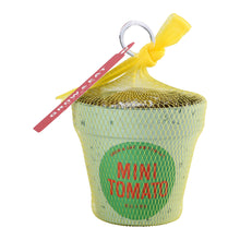 画像をギャラリービューアに読み込む, G&E 栽培セットフレッシュ