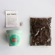 画像をギャラリービューアに読み込む, G&E 栽培セットフレッシュ