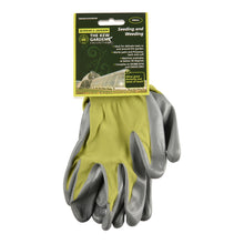 画像をギャラリービューアに読み込む, S&J ガーデンマスターグローブ