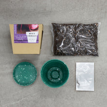 画像をギャラリービューアに読み込む, G&E 栽培セットオーガニック