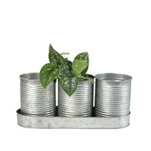 画像をギャラリービューアに読み込む, ブリキカン 直径9.5cm 3ポットセット