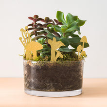 画像をギャラリービューアに読み込む, AS プランツピック