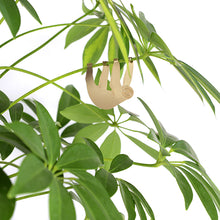 画像をギャラリービューアに読み込む, AS プラントアニマル