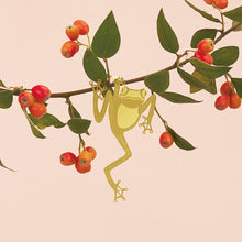 画像をギャラリービューアに読み込む, AS プラントアニマル