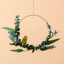 画像をギャラリービューアに読み込む, AS プラントアニマル