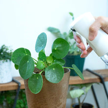 画像をギャラリービューアに読み込む, Fineミストスプレー 350ml