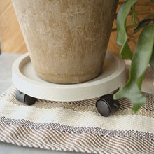 画像をギャラリービューアに読み込む, 【植木鉢の移動が簡単 キャスター付】プランツトレイ φ280mm | PLANTS TRAY