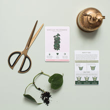 画像をギャラリービューアに読み込む, AS ケアカード