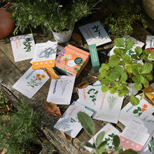 画像をギャラリービューアに読み込む, AS ケアカード