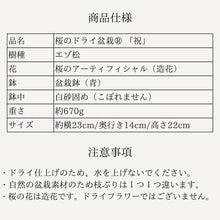 画像をギャラリービューアに読み込む, 桜のドライ盆栽® 「祝」盆栽鉢(青)※桜の花はフェイクフラワーです