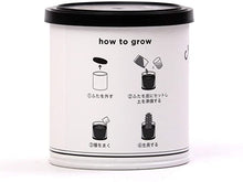 画像をギャラリービューアに読み込む, カクタスde カクタス