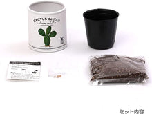 画像をギャラリービューアに読み込む, カクタスde カクタス