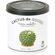 画像をギャラリービューアに読み込む, カクタスde カクタス