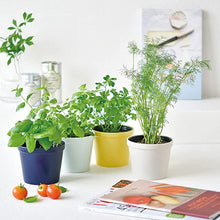 画像をギャラリービューアに読み込む, レシピ付き栽培セット+Recipe