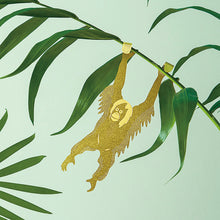 画像をギャラリービューアに読み込む, AS プラントアニマル