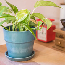 画像をギャラリービューアに読み込む, アーバンプランツポットソリッドφ135mm (4号目安)