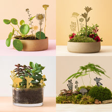 画像をギャラリービューアに読み込む, AS プランツピック