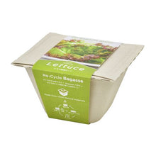 画像をギャラリービューアに読み込む, バガスグリーン