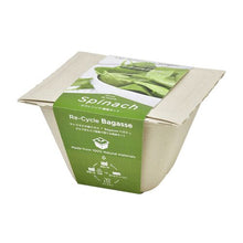 画像をギャラリービューアに読み込む, バガスグリーン