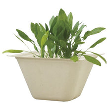 画像をギャラリービューアに読み込む, バガスグリーン