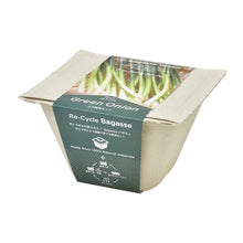 画像をギャラリービューアに読み込む, バガスグリーン