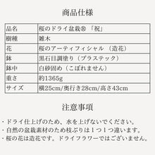 画像をギャラリービューアに読み込む, 【一点物】桜のドライ盆栽® 「祝」 黒石目調塗り 枯れ盆栽 ※桜の花はフェイクフラワーです