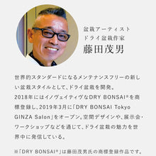 画像をギャラリービューアに読み込む, ドライ盆栽® 赤 模様木 枯れ盆栽