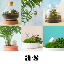 画像をギャラリービューアに読み込む, AS ミニモデル