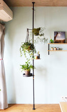 画像をギャラリービューアに読み込む, 【突っ張り棒で植物を飾る】DRAW A LINE トレイ