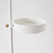 画像をギャラリービューアに読み込む, 【突っ張り棒で植物を飾る】DRAW A LINE トレイ