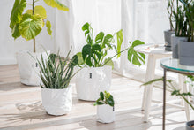 画像をギャラリービューアに読み込む, サステナブルな鉢カバー Re:af® (リーフ)