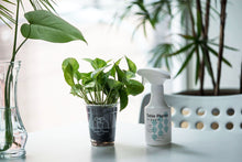 画像をギャラリービューアに読み込む, 【観葉植物をいきいき育てる水】Table Plants Water (テーブル プランツ ウォーター)