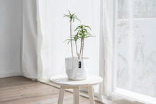 画像をギャラリービューアに読み込む, サステナブルな鉢カバー Re:af® (リーフ)