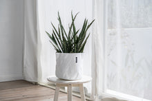 画像をギャラリービューアに読み込む, サステナブルな鉢カバー Re:af® (リーフ)