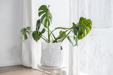 画像をギャラリービューアに読み込む, サステナブルな鉢カバー Re:af® (リーフ)